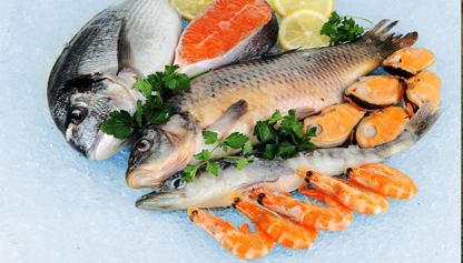 pescado frutos del mar